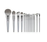 MQPALZKD 14pcs Champagne Makeup Brushes Set for Cosmetic Foundation Blush Eyeshadow Blending Make Up Brush Beauty Tool(Argento)