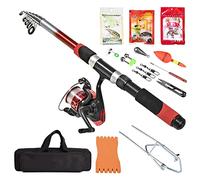 MQPALZKD 2.1m Telescopic Fishing Rod Combo Full Kit Fishing Tackle Kits Set Spinning Fish Reel Pole Baits Hooks Fishing Bag Kit(Argento)
