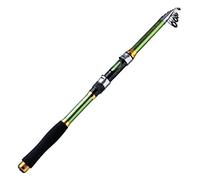 MQPALZKD 2 Colors Telescopic Fishing Rod 1.8m-3. Glass Fiber Handle Spinning Rod Fishing Pole Fishing Weight(Argento,3.0 m)