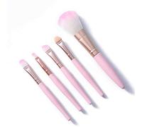 MQPALZKD 5Pcs/Set Portable Makeup Brushes Set With Box Lip Eye Shadow Brows Makeup Brush Eyeshadow Applicator Cosmetic Makeup Tools(D)