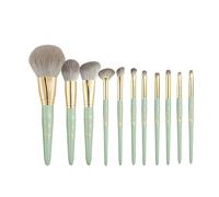 MQPALZKD Makeup Brush Set Beginner Soft 11pcs Portable South Elm Wood Handle Beauty Tools(Argento)