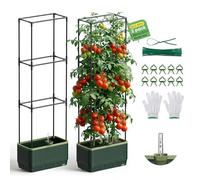 MQUPIN Raised Garden Bed Planter Box, Self Watering Tomato Planter with Water Level Indicator, Garden Tomato Cage for Indoor & Outdoor Climbing Vegetables, Plants & Flowers (2)