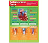 MQXFCZUX Advanced Biology Teaching Aid - The Cardiovascular System Diagram with Labels & Explanations, for High School or College Lab Framed,16x24inch(40x60cm)