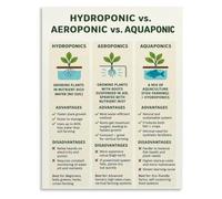 MQXFCZUX Beginner hydroponic guide poster gardening benefits