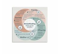 MQXFCZUX Breastfeeding: A Supportive Guide Poster, Heartwarming Canvas Art for Nursing Room, Waiting Area, Home Decor Framed,08x12inch(20x30cm)