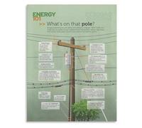 MQXFCZUX Electrical Knowledge Vintage Style Poster Pole Anatomy Canvas Print for Electrician Gift Garage Decor Unframed,16x24inch(40x60cm)