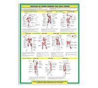 MQXFCZUX For the Golf Enthusiast: Muscles at Work Poster | Understand the Power Behind Your Swing with This Illustrated Biomechanics Chart | Man Cave or Office Decor(Framed,12x18inch(30x45cm))