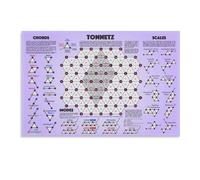 MQXFCZUX Music Studio Decor Tonnetz Poster - Educational Chart of Euler's Tone Network for Harmonic Analysis, Composer Gift and Classroom Teaching Aid Unframed,12x18inch(30x45cm)
