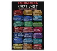 MQXFCZUX Nursing School Essential Poster - Medical Emergencies Cheat Sheet & First Aid Mnemonics Unframed,08x12inch(20x30cm)
