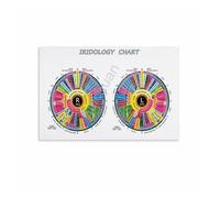 MQXFCZUX Read the Iris Chart, Iridology Quick Reference Poster, Canvas Wall Art for Health Coach, Nutritionist, Consultation Room Unframed,12x18inch(30x45cm)