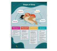 MQXFCZUX Sleep Stages REM NREM Deep Light Canvas Poster Wall-Art Educational Print for Bedroom Home Decor Unframed,16x24inch(40x60cm)
