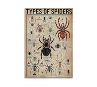 MQXFCZUX Spider Identification Guide Poster, Comprehensive Chart of Common Arachnid Species, Scientific Wall Art for School Classroom and Home Study Framed,12x18inch(30x45cm)