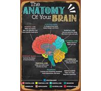 MQXFCZUX The Curious Brain Vintage Poster - Illustrated Guide to Anatomy & Mind, Thought-Provoking Wall Art for Thinkers, Psychologists, Home or Office Unframed,08x12inch(20x30cm)
