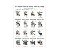 MQXFCZUX The Essential Seated Workout Guide Dumbbell Exercises and Low Impact Training Chart Canvas Poster for Home Wall-Art and Fitness Reference Framed,16x24inch(40x60cm)