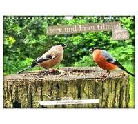 Mr. and Mrs. Bullfinch - regulars in the garden UK-Version (Wall Calendar 2026 DIN A4 Landscape), CALVENDO 12 Month Wall Calendar