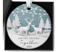 Mr and Mrs Gifts Christmas Decorations Bauble Gifts Our First Christmas Together 2025 Ornament Keepsake, Couples Personalized Gift, Winter Forest Holiday Married Decoration Bauble Love Memories