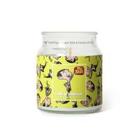 Mr Bean Lime & Vanilla Scented Candle 140g (1-Wick) in Yellow | Size: Small Mr Bean Yellow Small