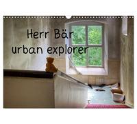 Mr Bear urban explorer UK-Version (Wall Calendar 2026 DIN A3 Landscape), CALVENDO 12 Month Wall Calendar