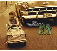 Bigger, Biggest! The Best Big