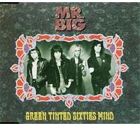 Mr. Big - Green Tinted Sixties Mind