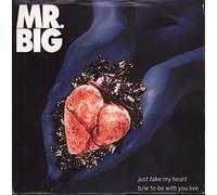 Mr. Big - Just take my heart (1992) / Vinyl single [Vinyl-Single 7'']
