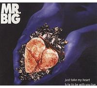 Mr. Big - Just take my heart