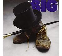 Mr. Big - Mr.Big