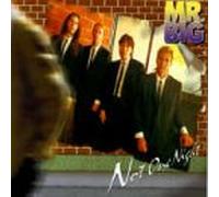 Mr. Big - Not One Night