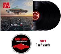 The BIG Finish Live [VINYL]