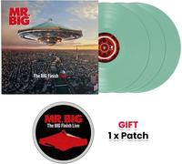 Mr. Big - The BIG Finish Live [VINYL]