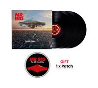 The BIG Finish Live [VINYL]