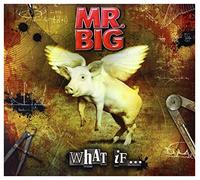 Mr. Big - What If...