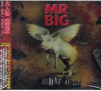 MR BIG - What If