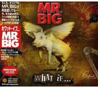 Mr. Big - What If [Import]