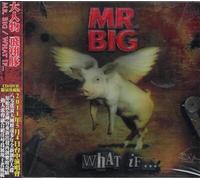 MR BIG - What If