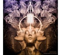 Mr.Bison - Echoes From The Universe [VINYL]