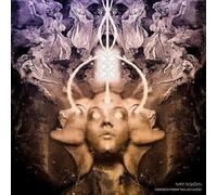 Mr.Bison - Echoes From The Universe [VINYL]