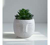 Mr.Bom Artificial Succulent Plants in White Cement Cute Face Pot Small Potted Fake Plant for Indoor Outdoor Decor