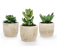Mr.Bom Set of 3 Mini Artificial Succulents Plants Potted Decorative Fake Succulent Plant in Pots Artificial Plant Indoor for Bedroom Office Desk Kitchen Decor Gift Set