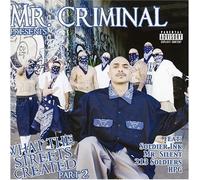 Mr Criminal - What the Streets Created Part 2