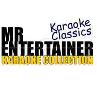 Mr Entertainer MRE28 - Blues Brothers & The Commitments