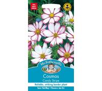 Mr Fothergill’s Cosmos Flower Seeds, Candy Stripe