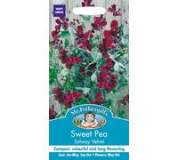 Mr Fothergill?s Seeds Ltd 18288 Flower Seeds, Sweet Pea Solway Velvet