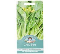 Mr Fothergill?s Seeds Ltd 18466 Vegetable Seeds, Choy Sum