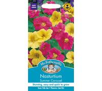 Mr Fothergills - Pictorial Packet - Flower - Nasturtium Summer Carousel - 25 Seeds