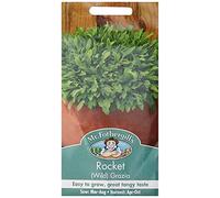 Mr Fothergill?s Seeds Ltd 22304 Vegetable Seeds, Rocket Wild Grazia