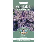 Mr Fothergill's 10438 Vegetable Seeds, Kale Scarlet