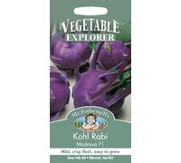 Mr Fothergill's 11904 Vegetable Seeds, Kohl RABI Modrava F1