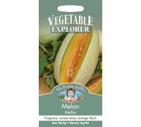 Mr Fothergill's 14032 Vegetable Seeds, Melon Melba