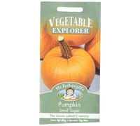 Mr Fothergill's 15410 Vegetable Seeds, Pumpkin Small Sugar